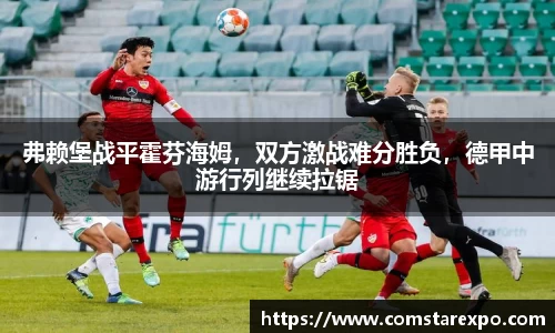 弗赖堡战平霍芬海姆，双方激战难分胜负，德甲中游行列继续拉锯